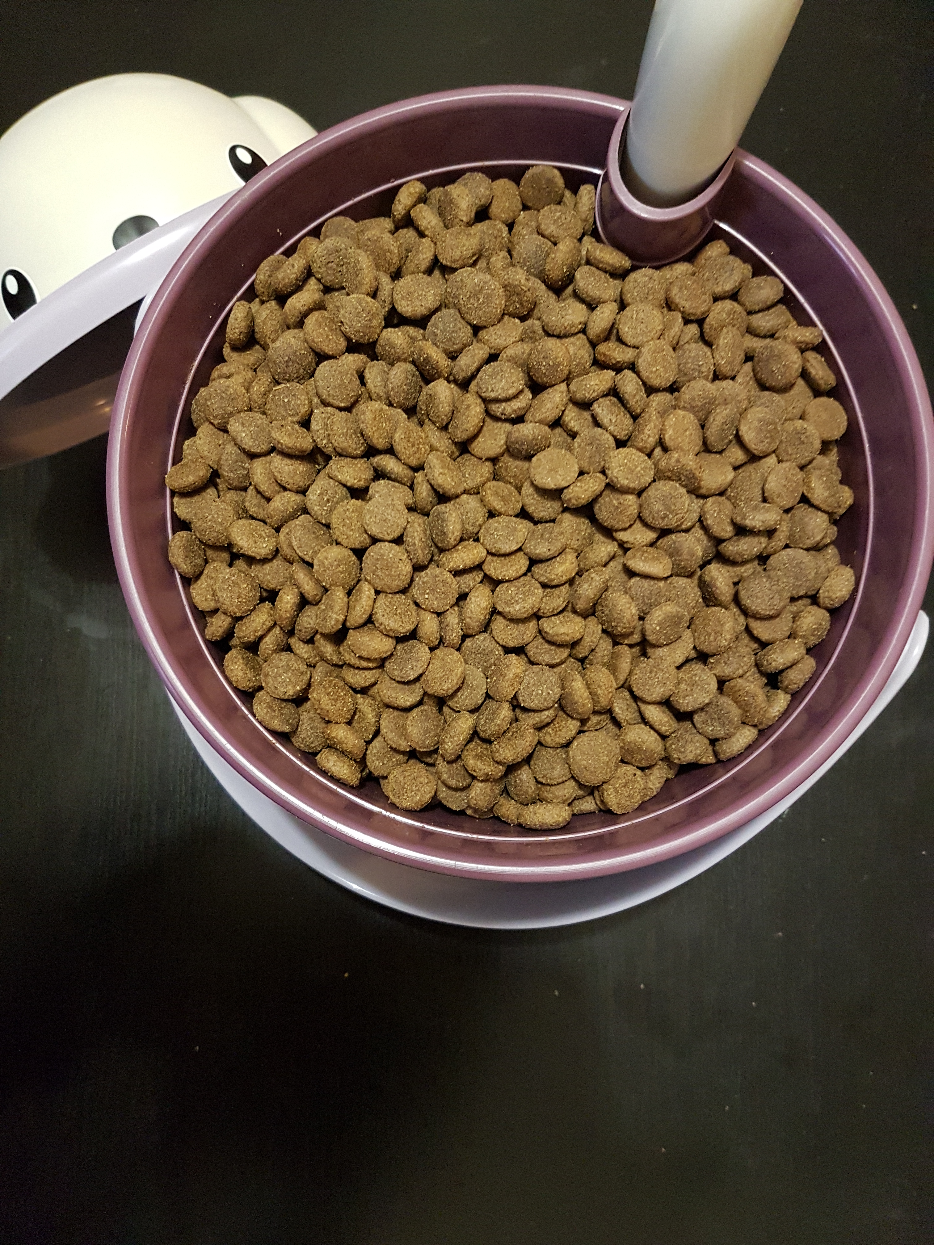 20161207_211032.jpg