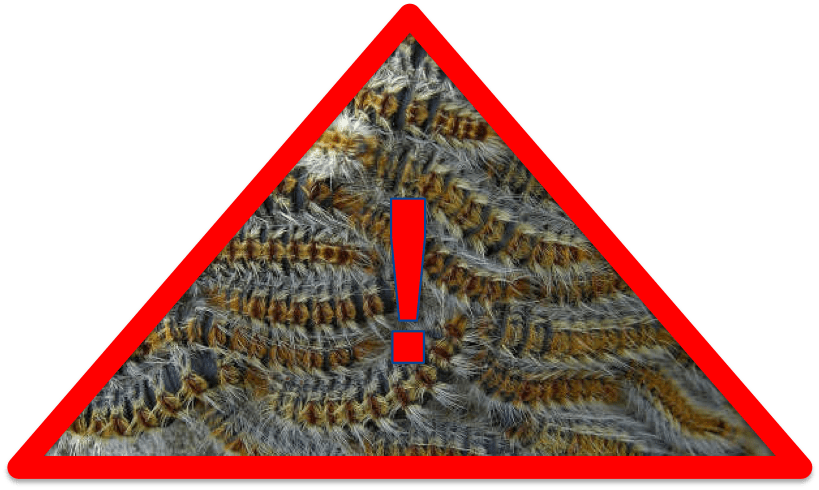 danger chenille.png