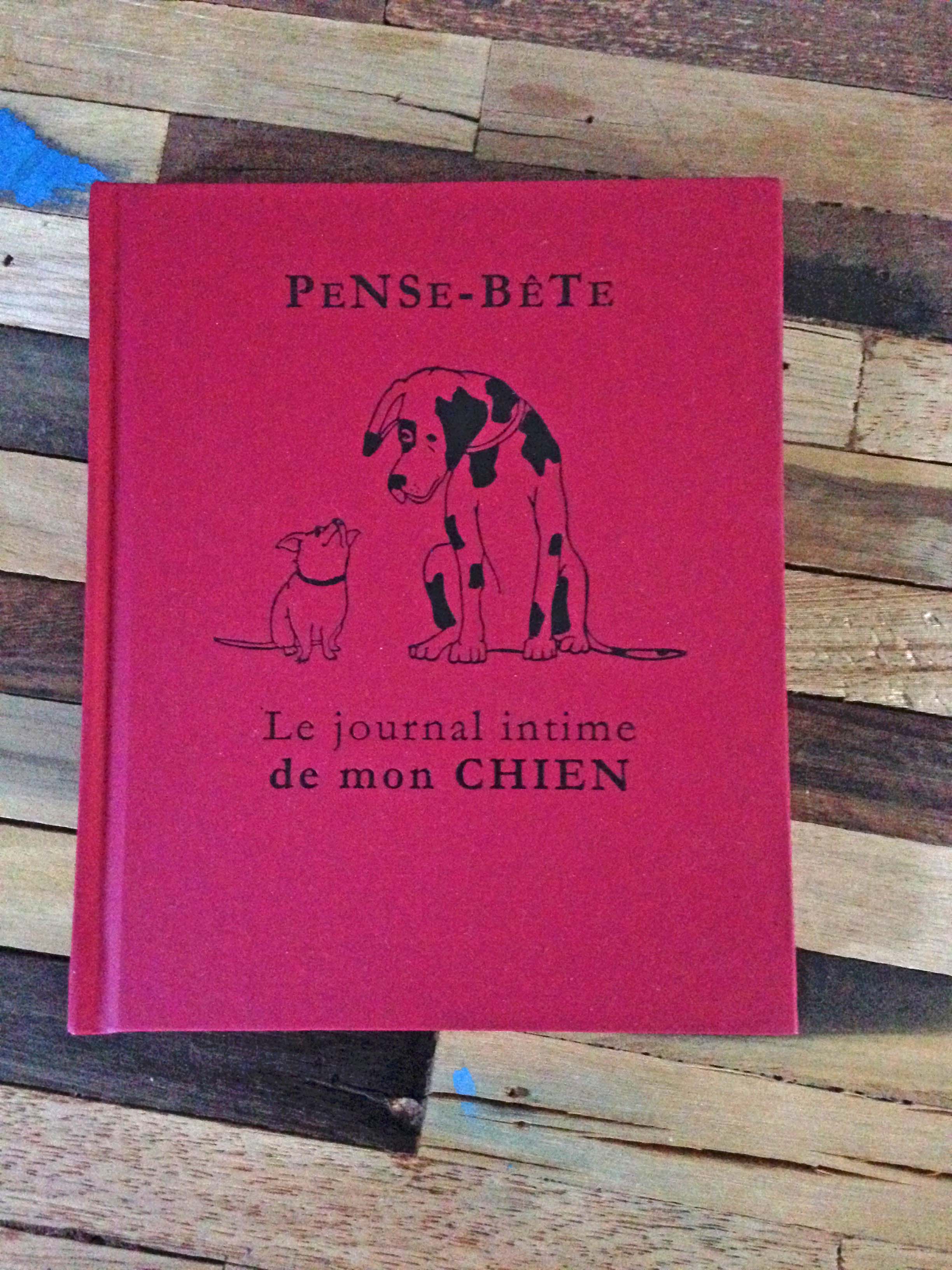 Le Journal Intime De Mon Chien My Dog Is A Queen