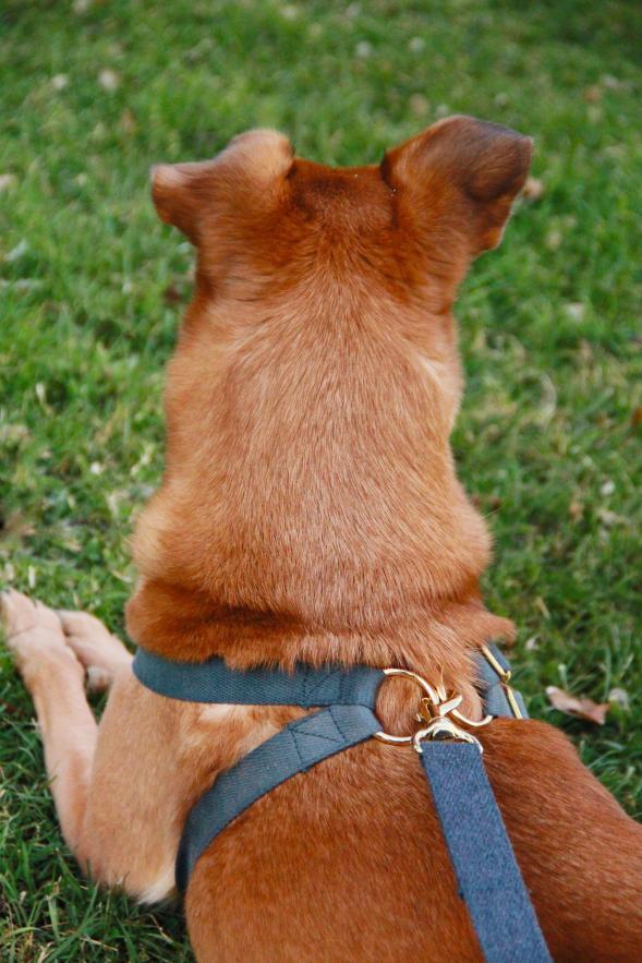 EDGAR 2017 25.jpg