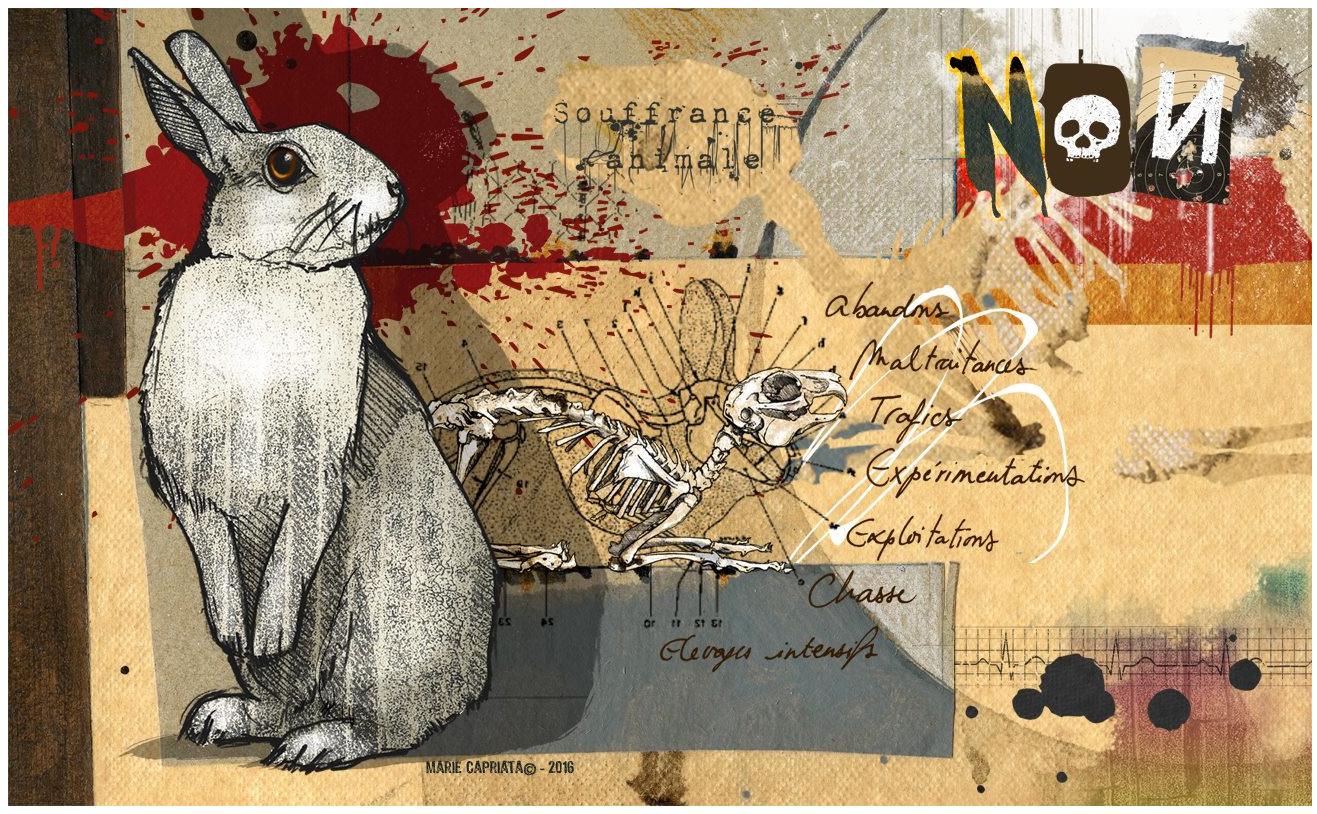 couverture non souffrance animale.jpg