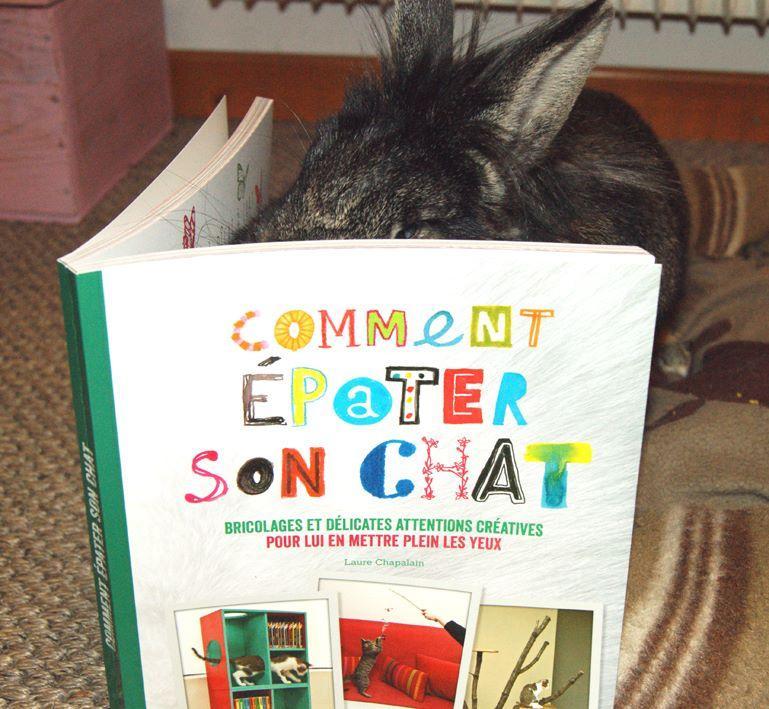 crapette livre.jpg