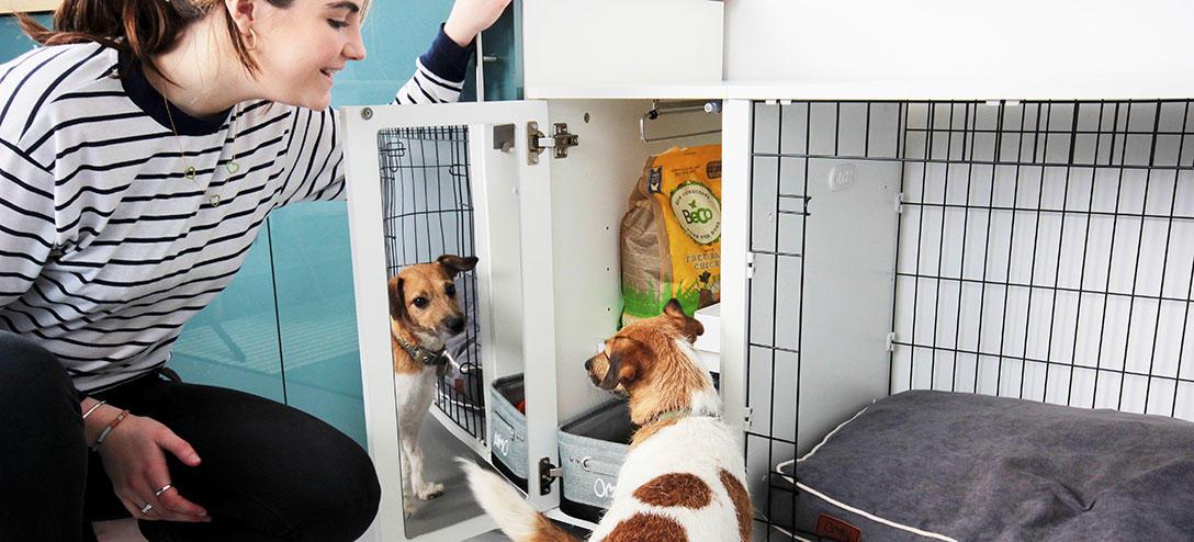 Omlet_Fido_Studio_-_Terrier_looking_mirror.jpg