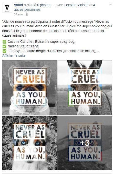 Campagne.jpg