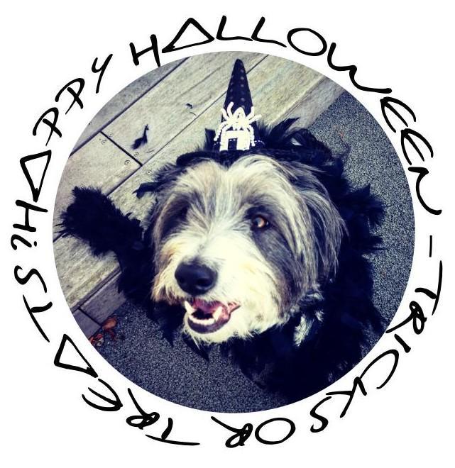 Halloween.jpg