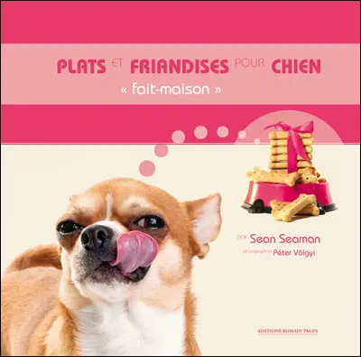 Plats-et-friandises-pour-chien-fait-maison-