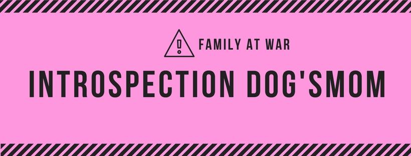 Introspection dog'smom