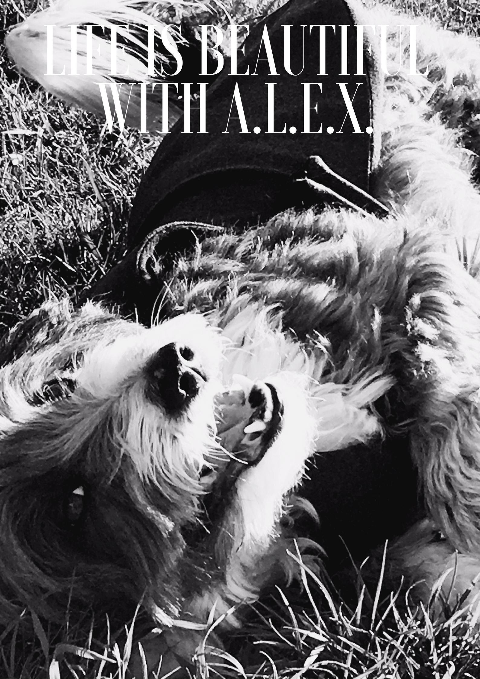 Life is beautiful with A.L.E.X.