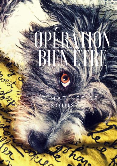 opération bien être.jpg