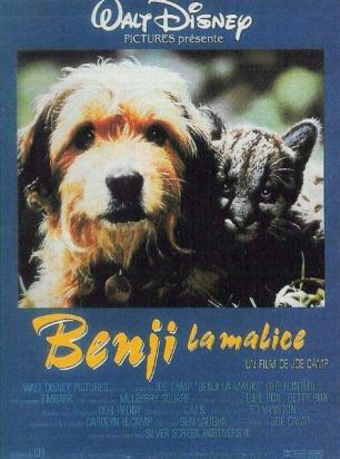 affiche-benji-malice-01.jpg