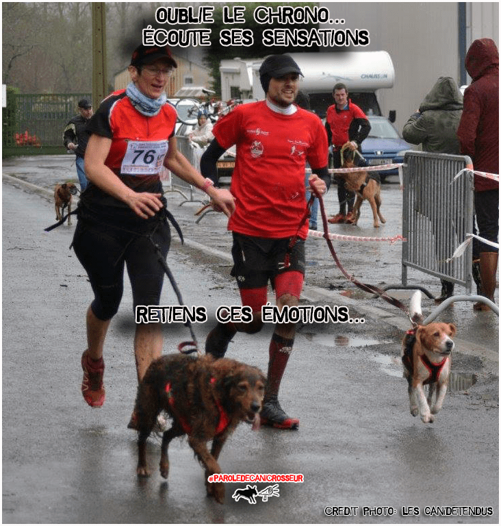 Parole de canicrosseur CanicrossAddict