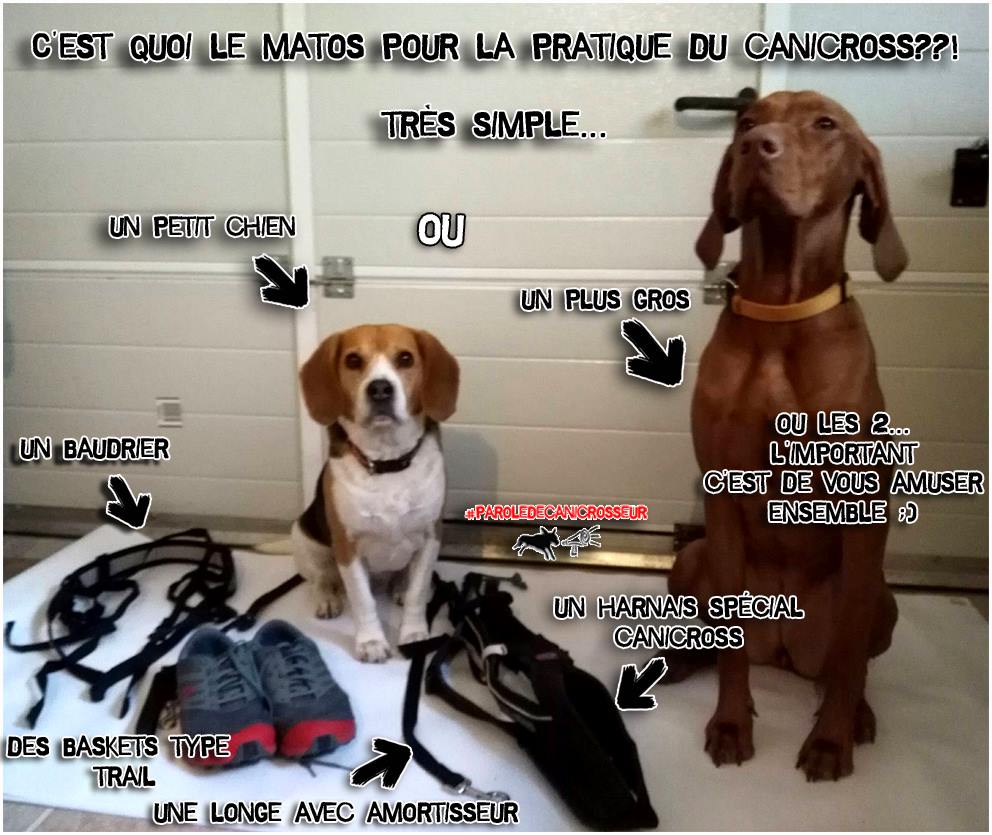 Parole de canicrosseur CanicrossAddict