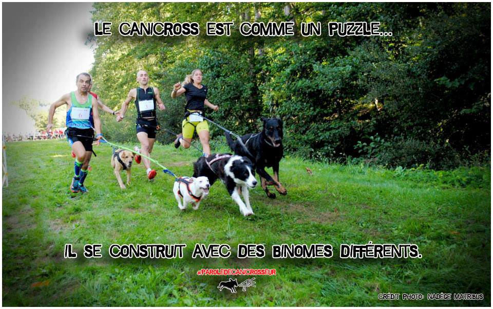 Parole de canicrosseur CanicrossAddict
