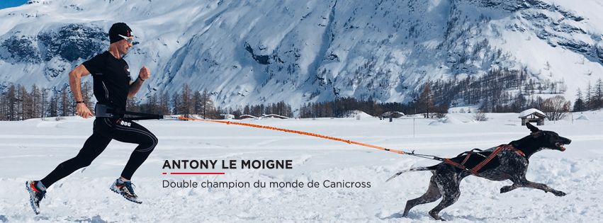 Parole de canicrosseur CanicrossAddict
