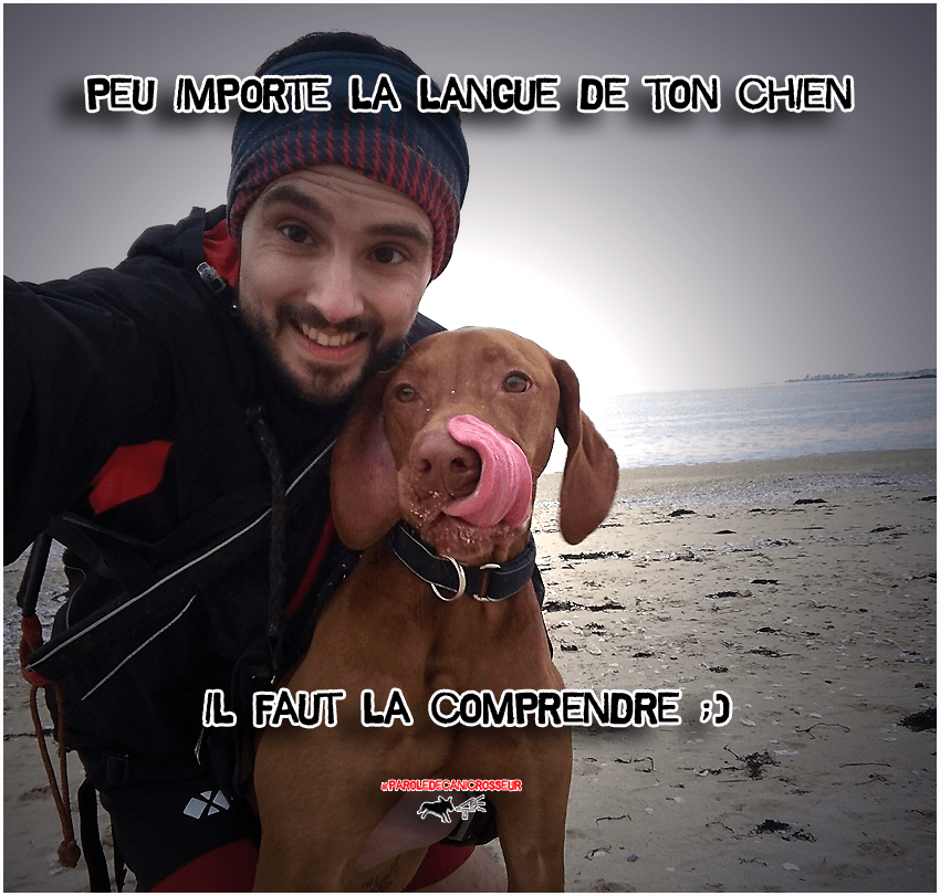 Parole de canicrosseur CanicrossAddict