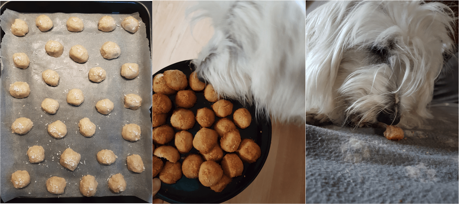 Biscuit 2