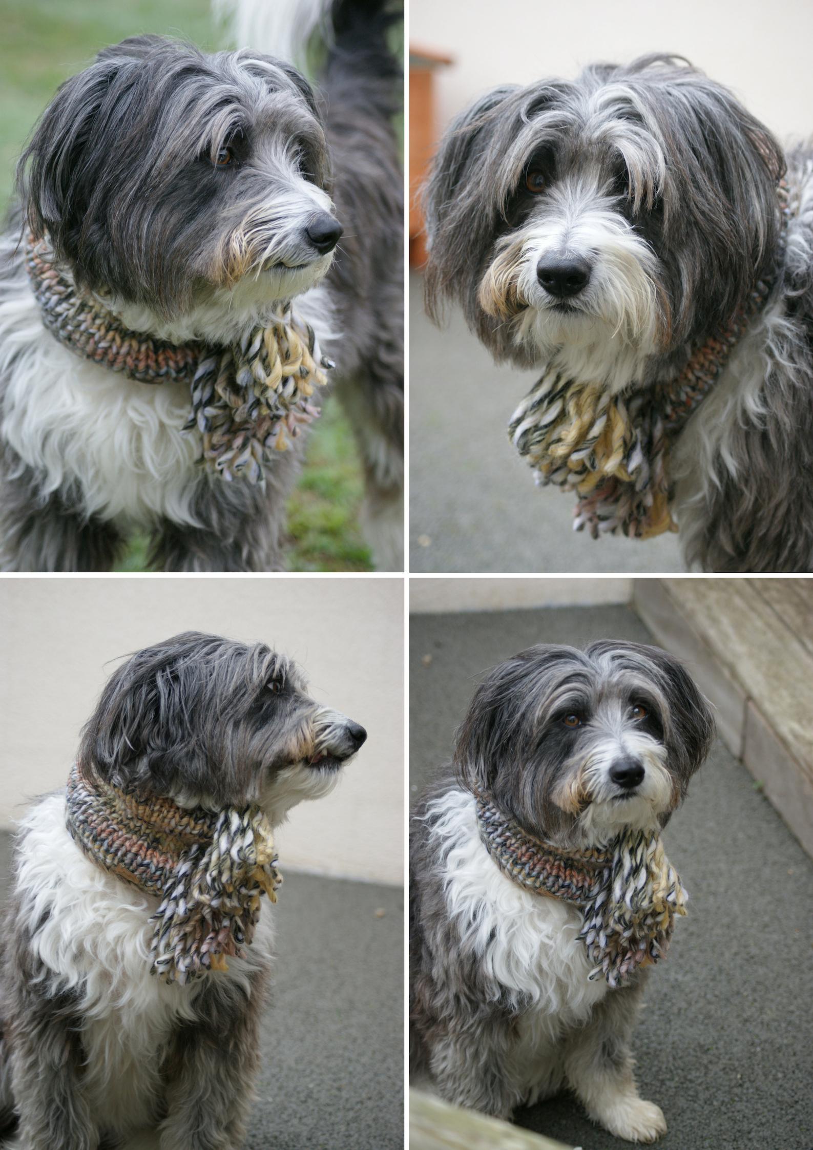 Aston's Snood (2)