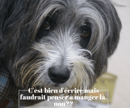 On est bon.png