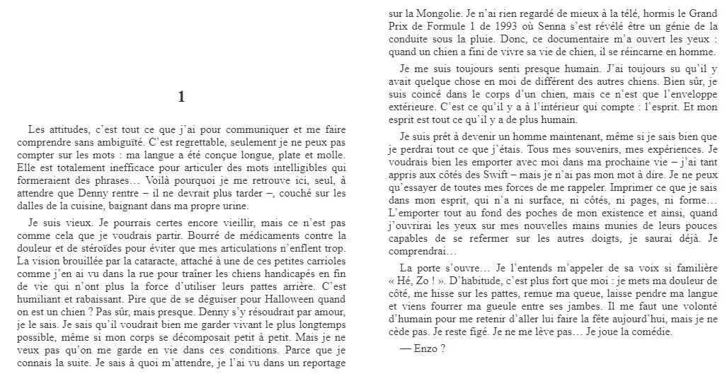 extrait L'art de courir sous la pluie