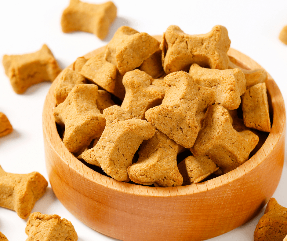 Fêter Pâques avec son chien