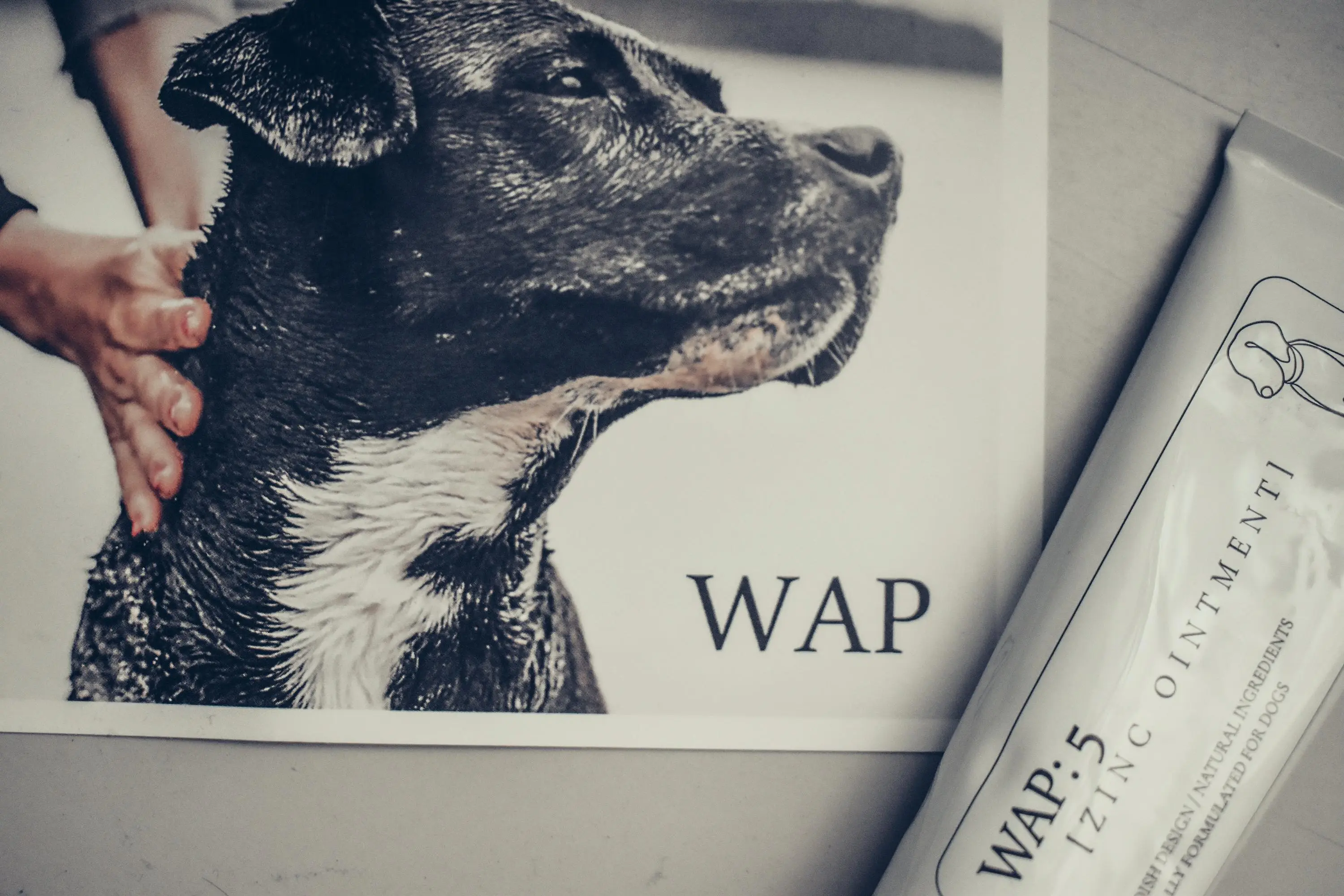 Wap dog care