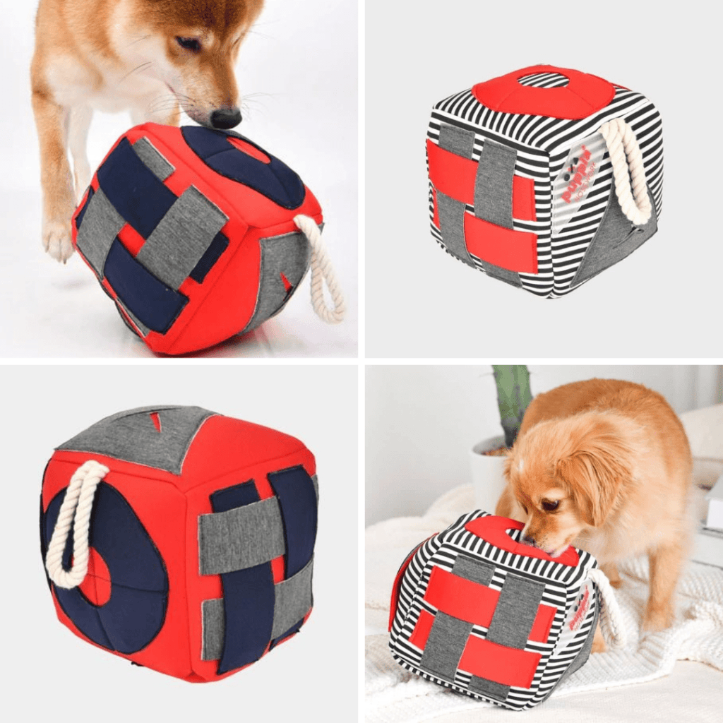 Les cubes de fouille Puppia