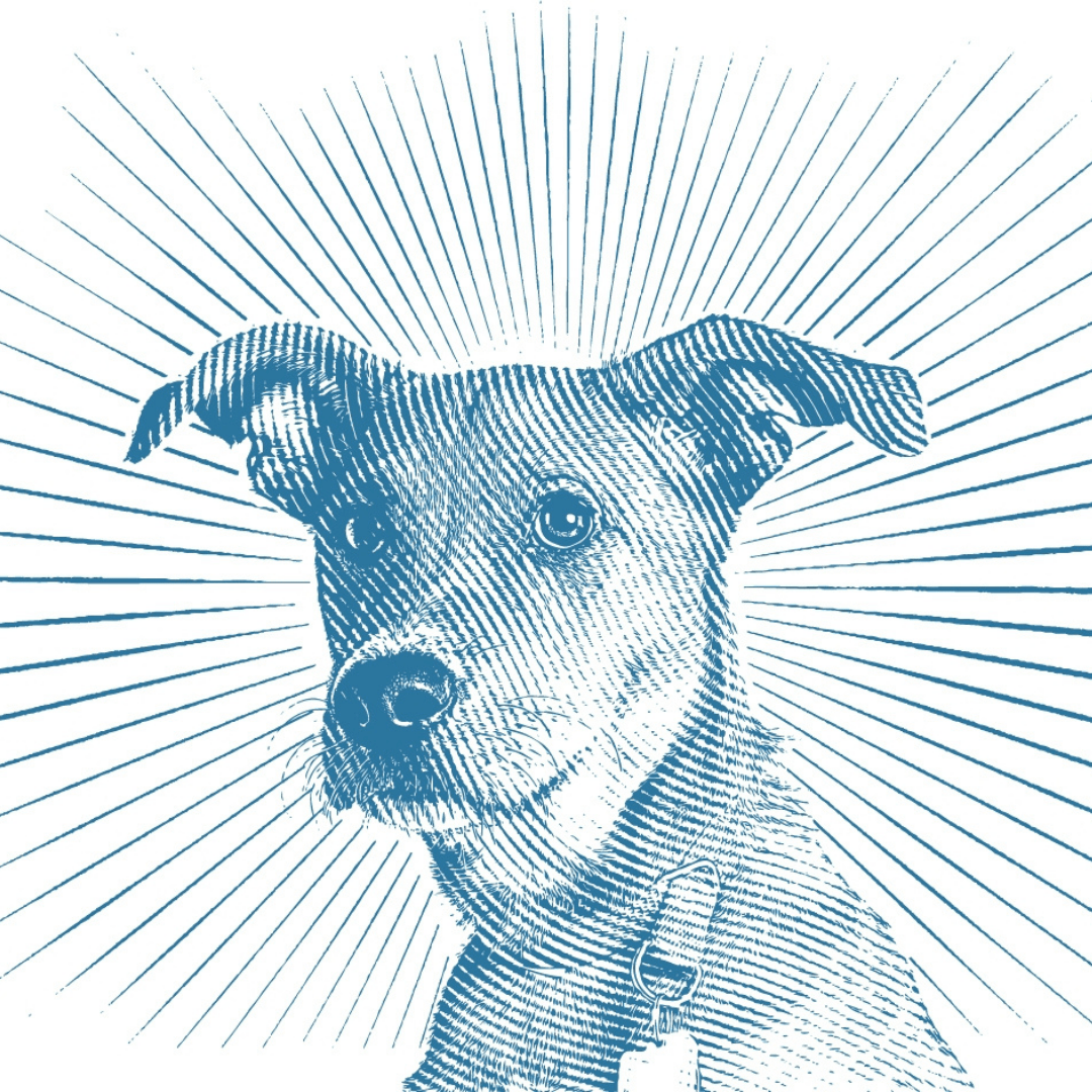 Montaigne, Kant et mon chien