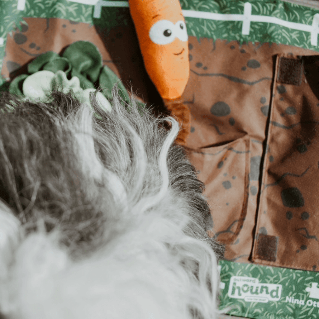 OUTWARD HOUND – Nina Ottosson