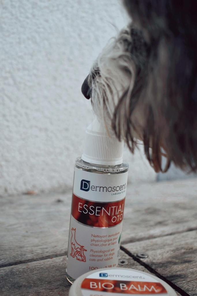 3 indispensables Dermoscent