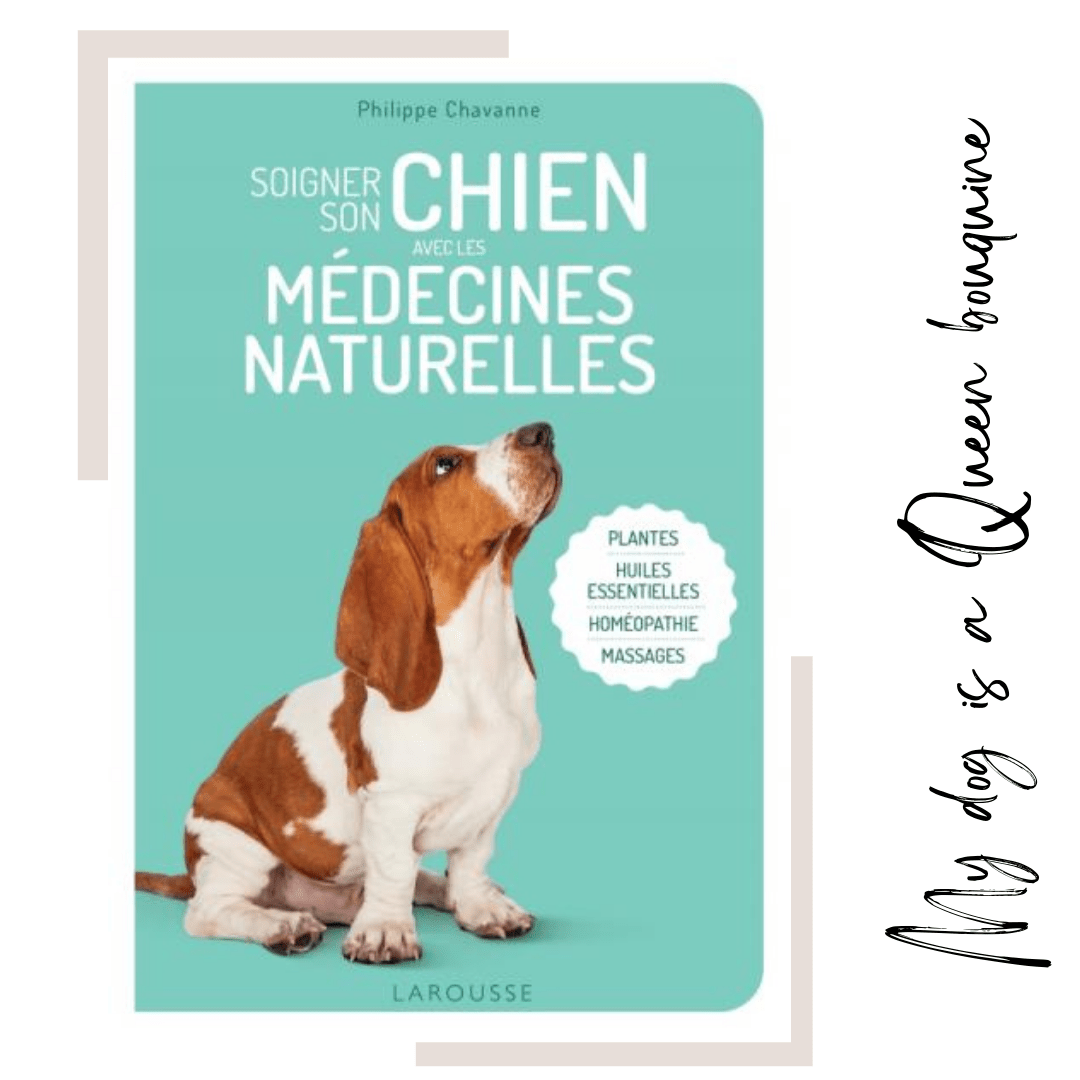 Soigner son chien avec les médecines naturelles