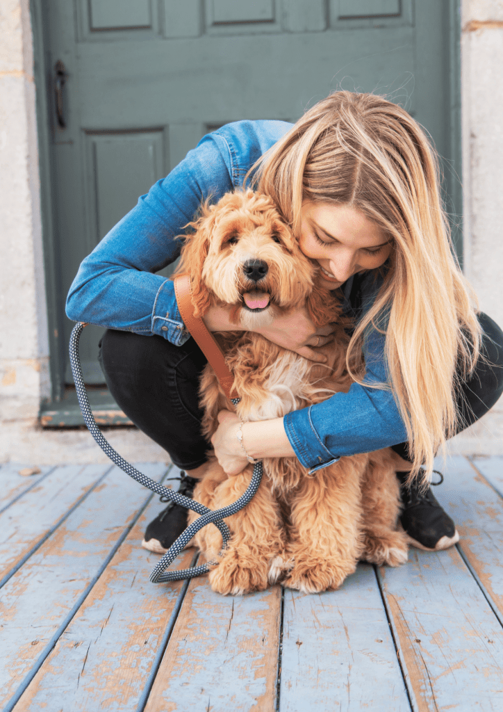 Préparer les vacances de votre chien !
