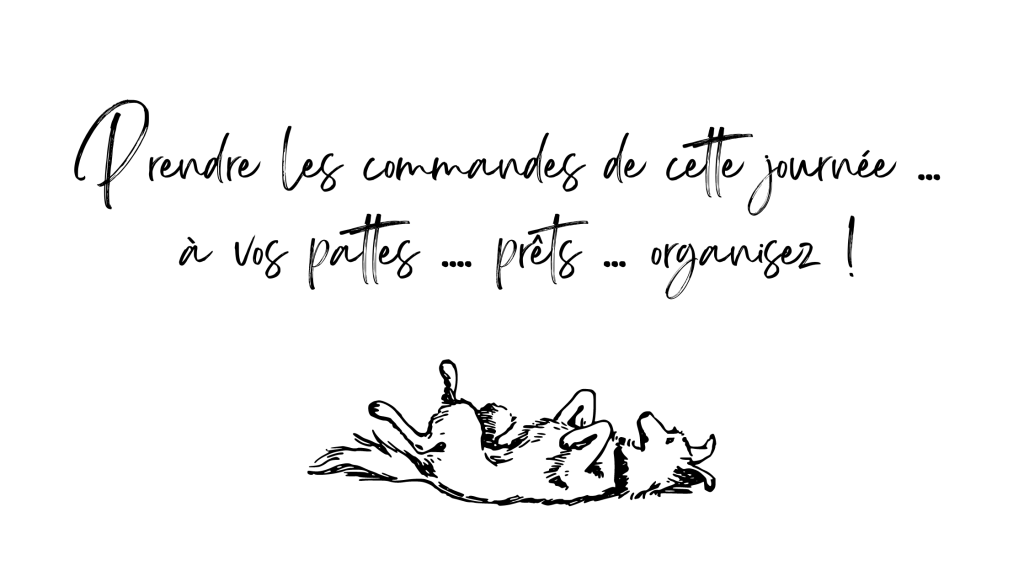 Fêter l'anniversaire de son chien