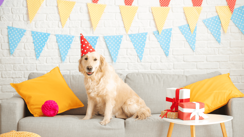 Fêter l'anniversaire de son chien !