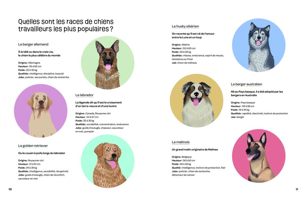 JOBS DE WOUF