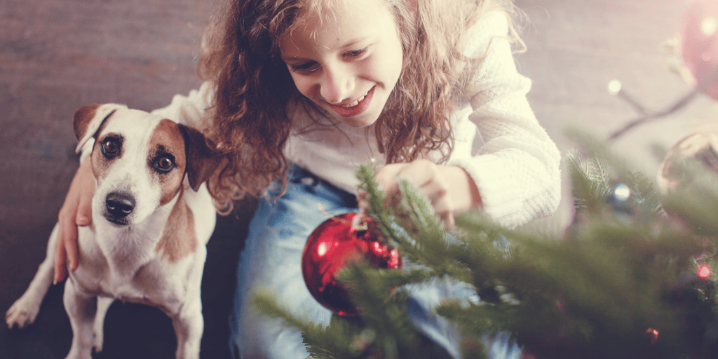 DIY calendrier de l'avent pour mon chien