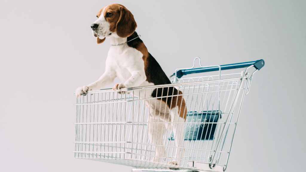 ASTUCES ANTI INFLATION POUR MON CHIEN