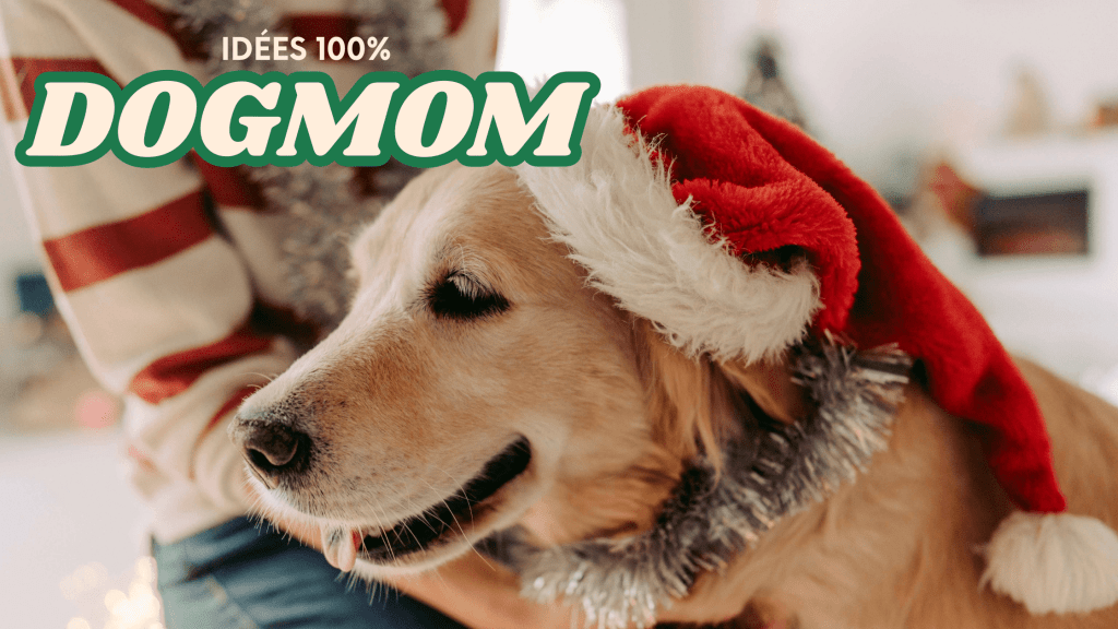 Idées cadeaux pour Dogmom