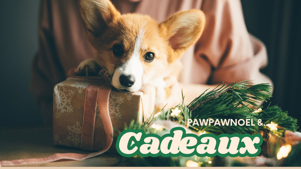 Préparer Noël 2024 avec son chien idées pour les cadeaux