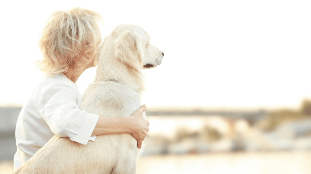 Le chien de vos rêves ou celui de votre vie Trouver le juste milieu (6)
