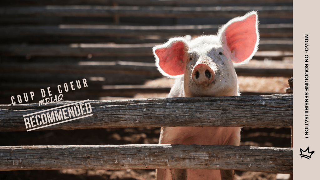 Les Animaux Ont-ils des Droits ?