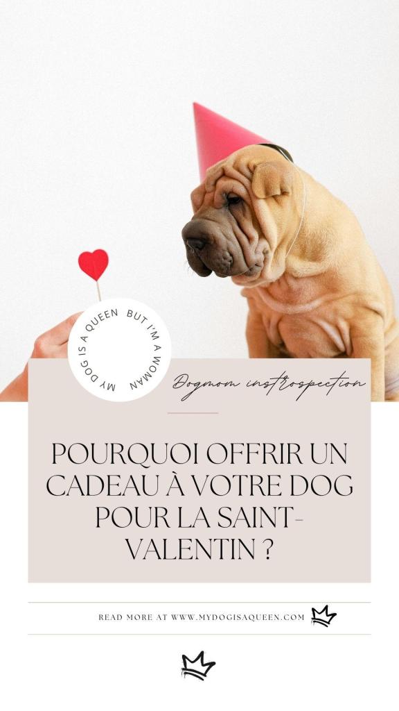 Pourquoi offrir un cadeau à votre DOG pour la Saint-Valentin (1)
