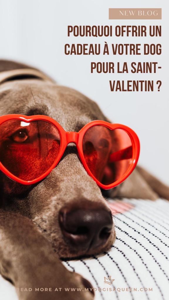 Pourquoi offrir un cadeau à votre DOG pour la Saint-Valentin (2)