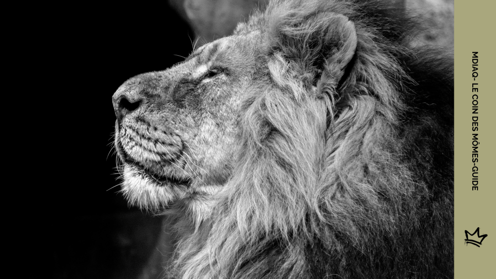 Stimuler l’imagination des enfants autour du monde animalier