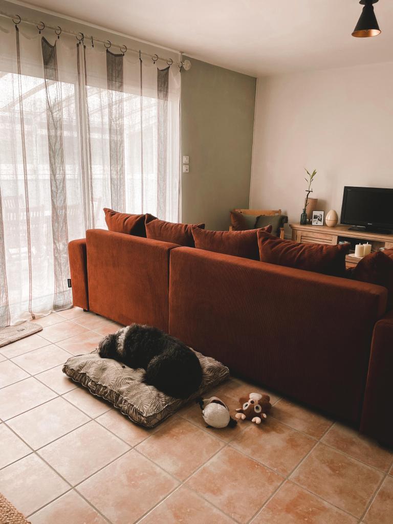 Chien et travail (3)