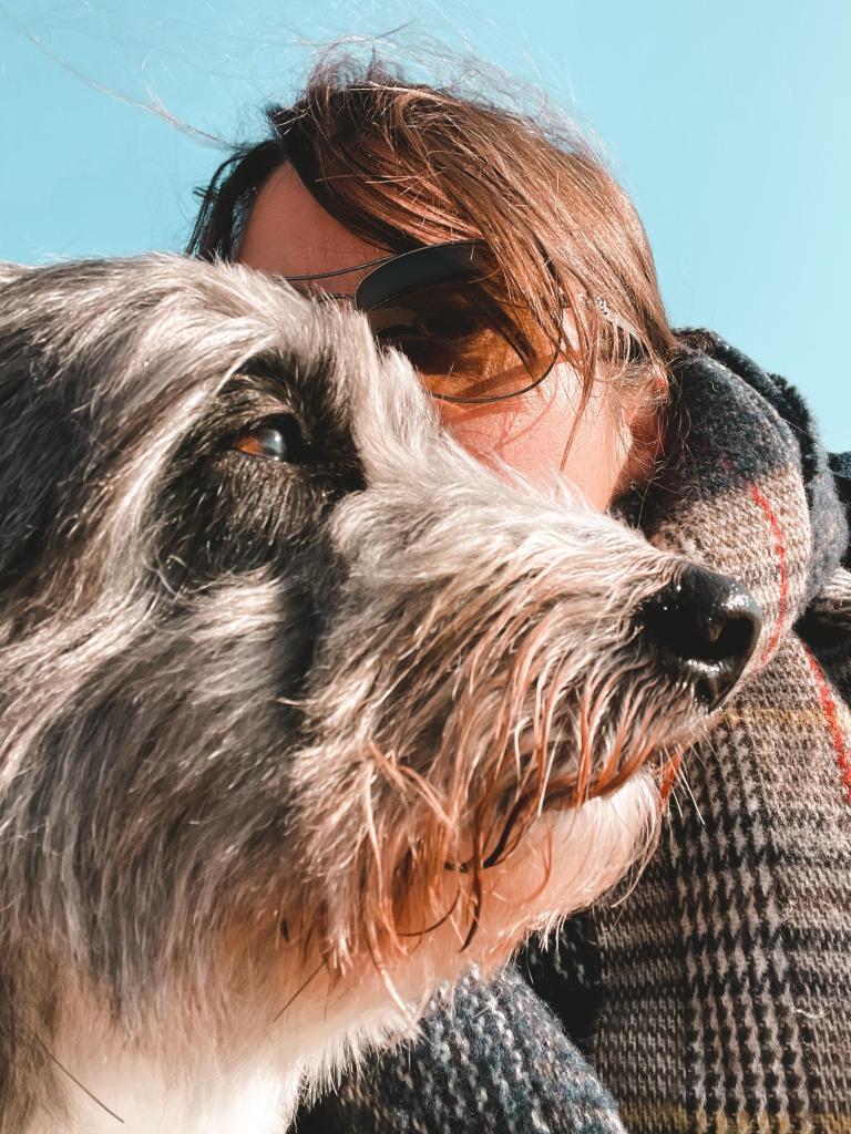 Chien et travail (4)