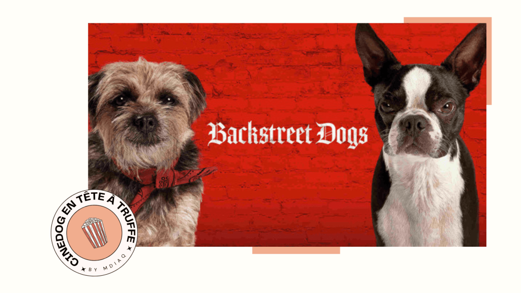 BACKSTREET DOGS 