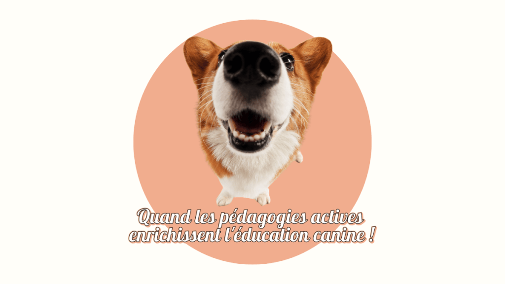 Freinet, Steiner, Decroly… et mon chien ?