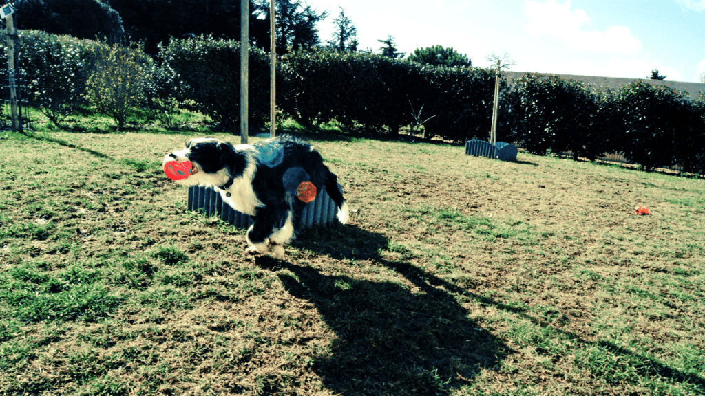 Et si on arrêtait de courir ?