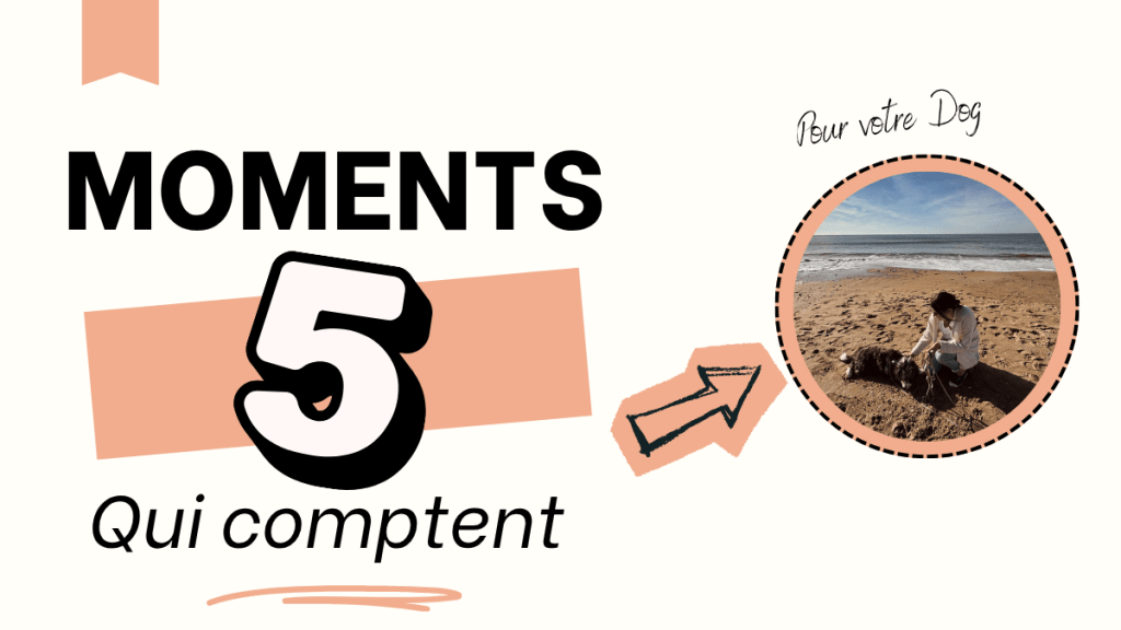 5 moments qui comptent plus qu’on ne croit pour votre chien
