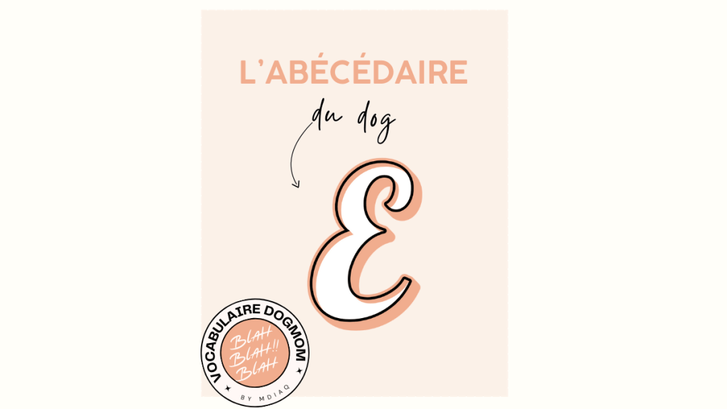 L’abécédaire du Dog : Lettre E